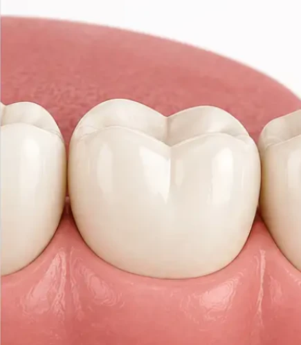 step-3-bottom-image-clean2